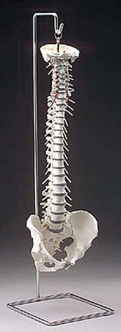 Mini Flexible Spine - Lawyers & Judges Publishing Company, Inc.